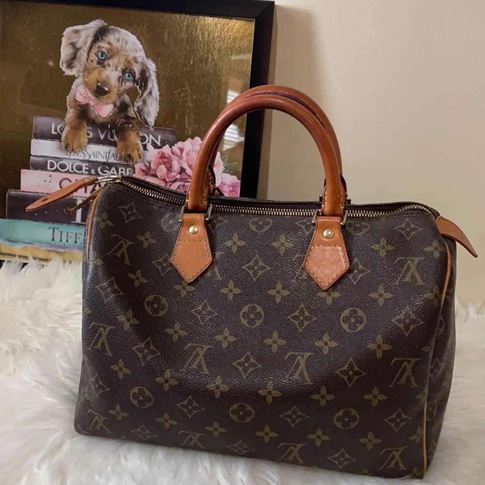 Louis Vuitton Monogram Canvas Speedy 30